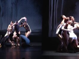 The Evolution of My Choreographic Voice: From Dancer to Creator